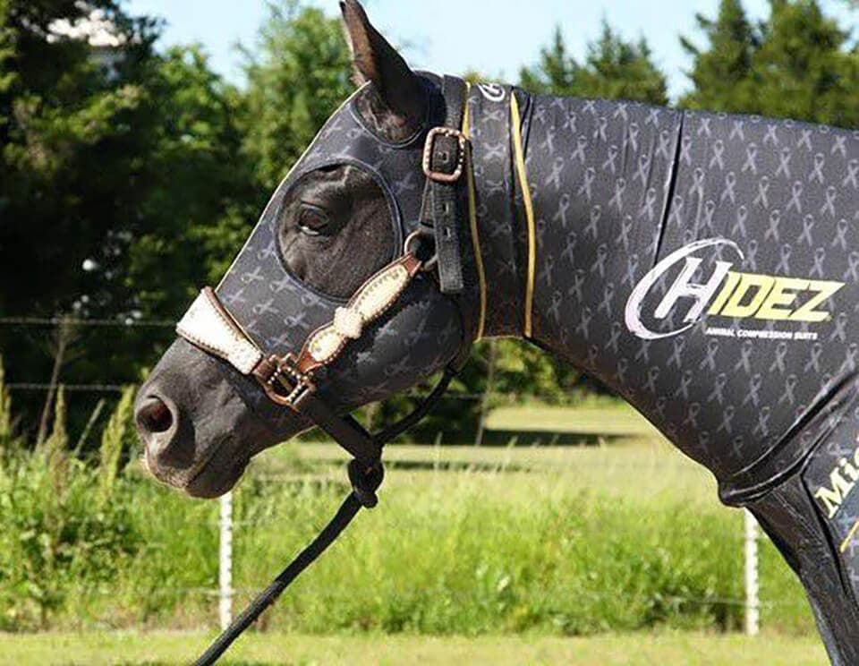 HORSE COMPRESSION SUIT