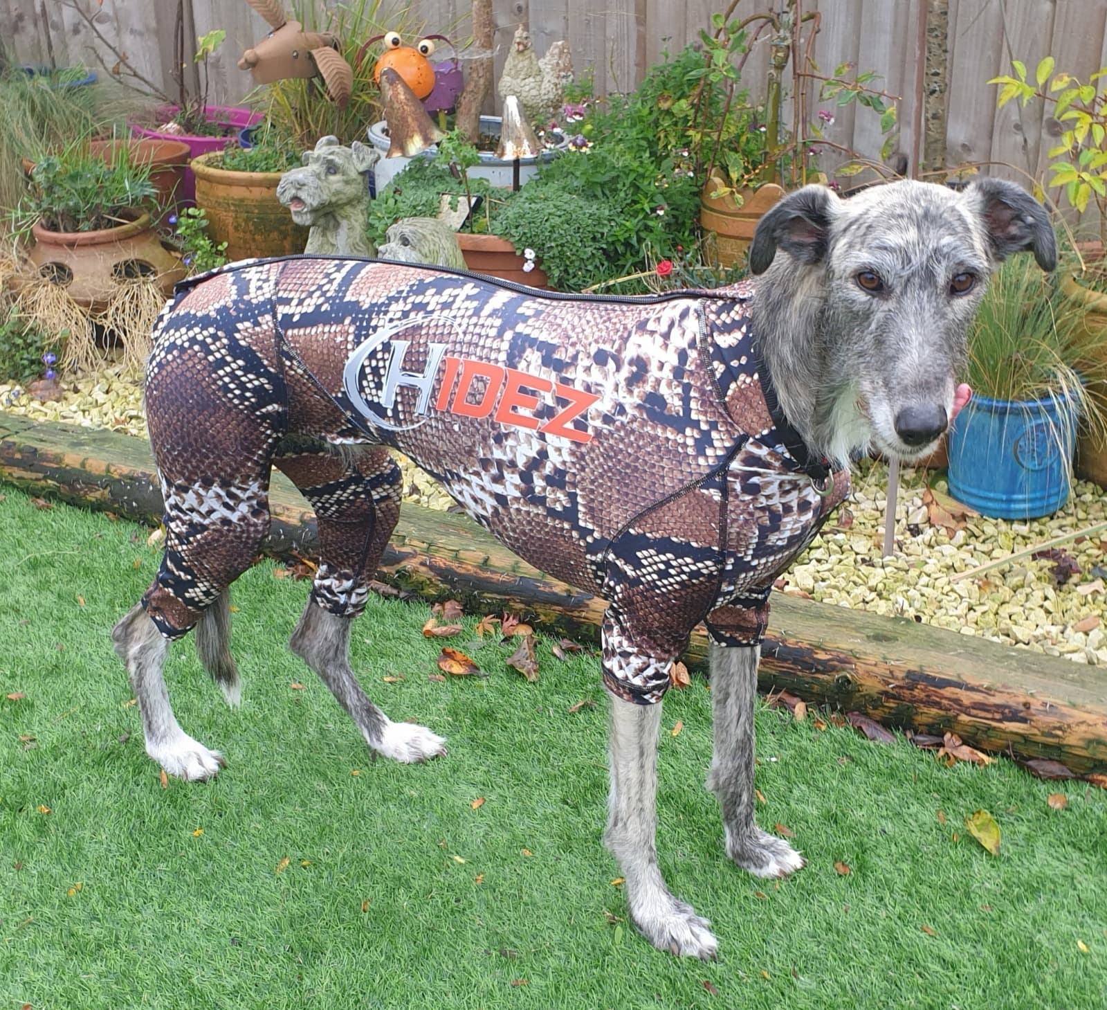 Canine compression range
