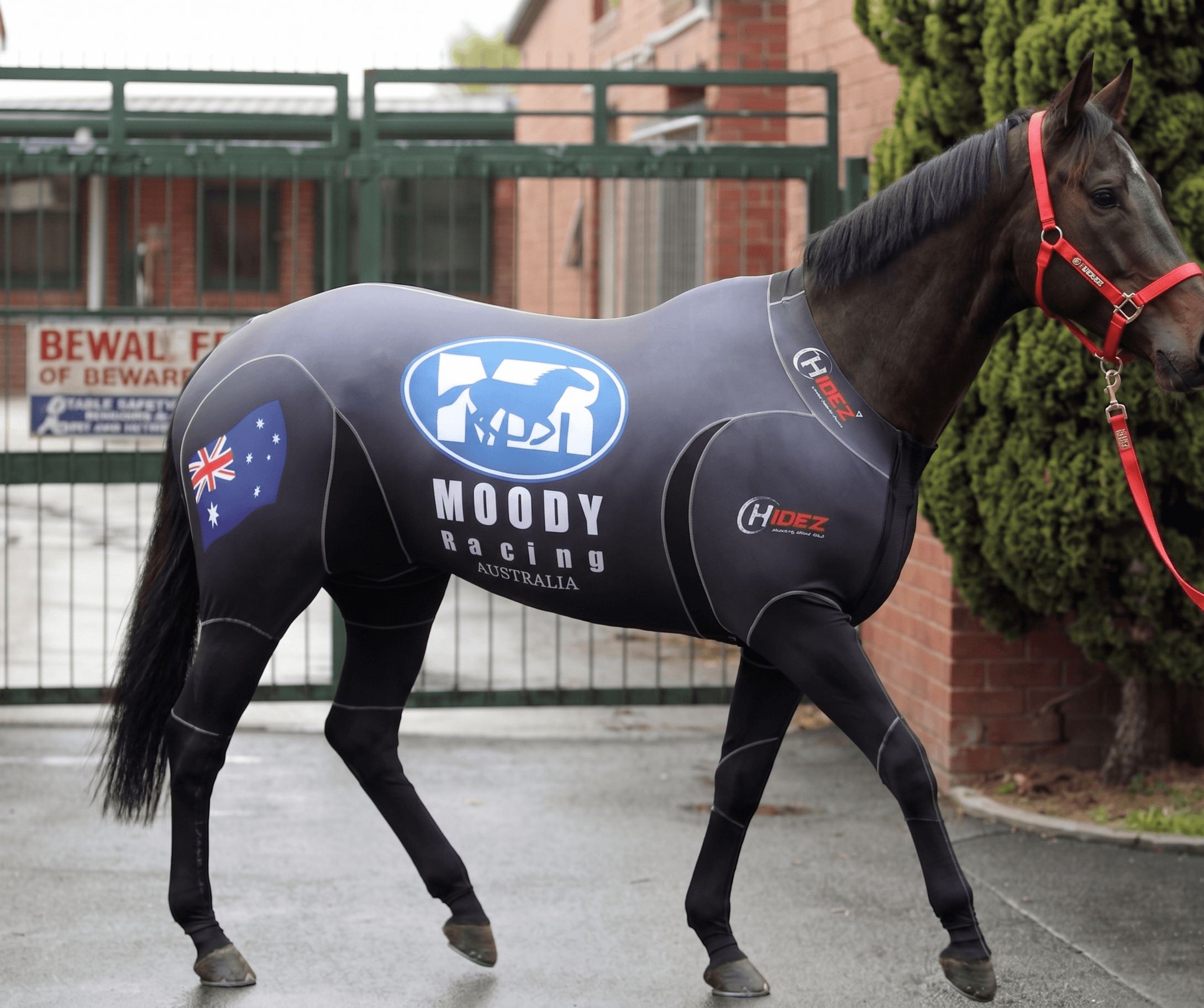 Black Caviar wearing Hidez Compression Suit